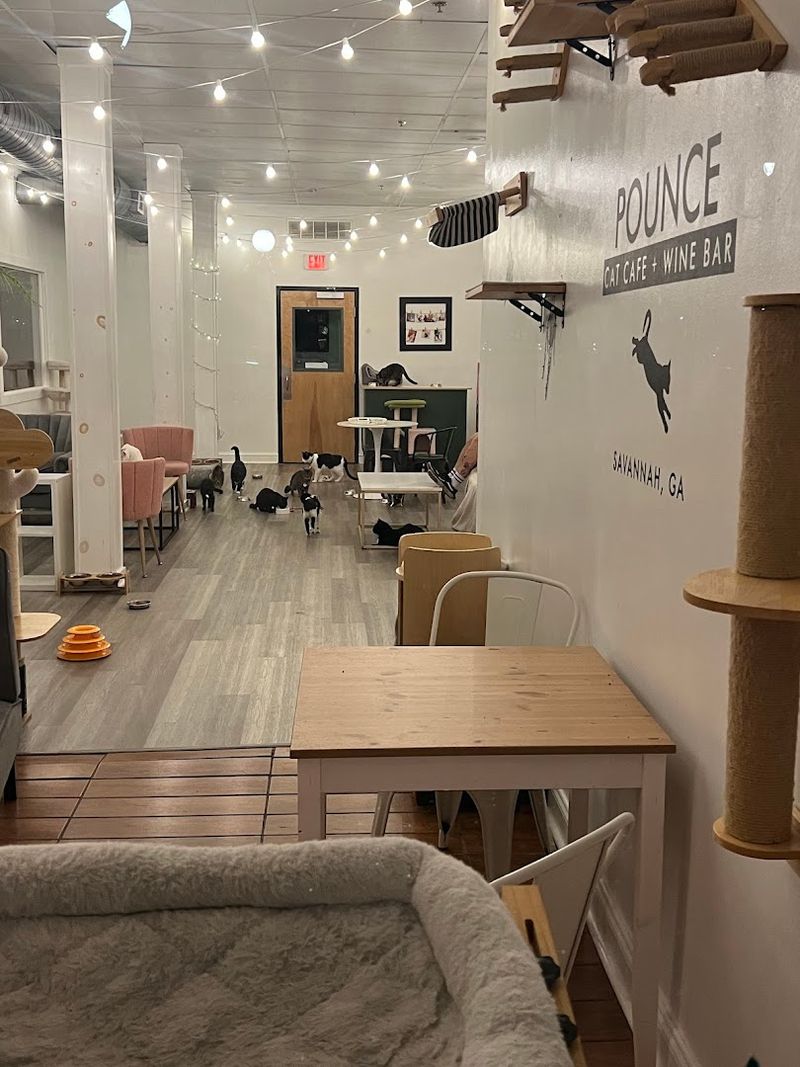 Fresh Local Pastries That Hit Just Right