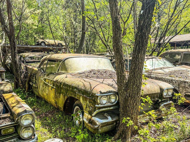 Explore 4,000 Abandoned Classic Cars Slowly Being Reclaimed By Nature At This Amazing Georgia Junkyard - Decor Hint An Open-Air Classroom for Automotive History