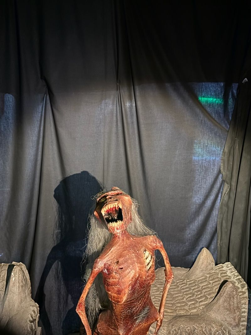 The Collection Itself Is Wildly Eclectic And Endlessly Interesting