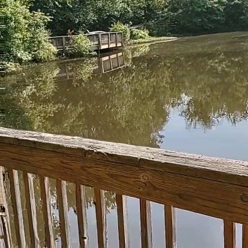 Family Adventures That Actually Stick