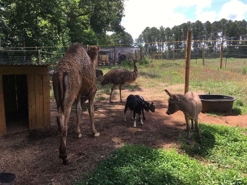 Educational Value That Goes Beyond The Classroom