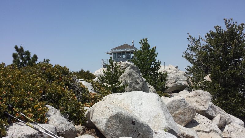 The Longest-Serving Lookout Station In The Forest