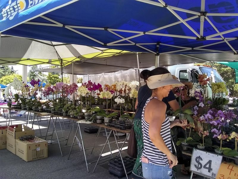 This Massive California Outdoor Market Is A Treasure Hunter's Dream - Decor Hint Up To 20,000 Shoppers Show Up Each Month