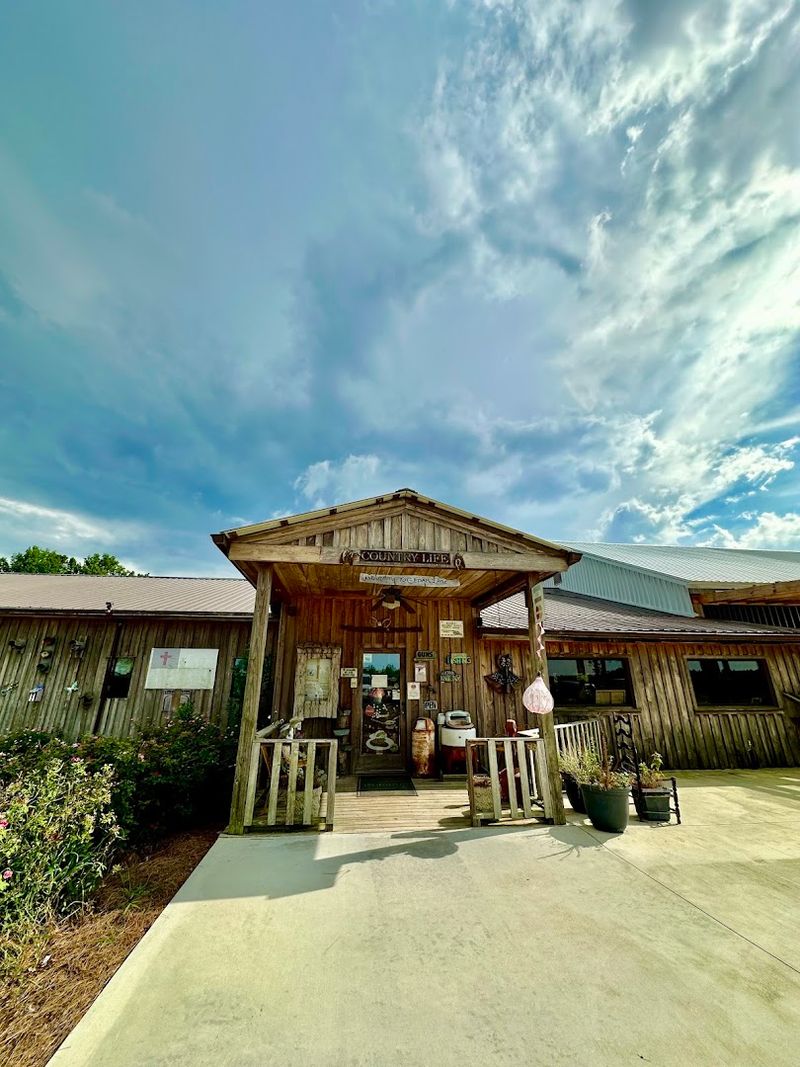 Wheelchair Accessible for All Guests