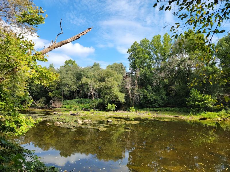 North Carolina’s Best Kept Mystery With The Ancient Pines And The Mermaid’s Secret - Decor Hint A Legacy Of Preservation
