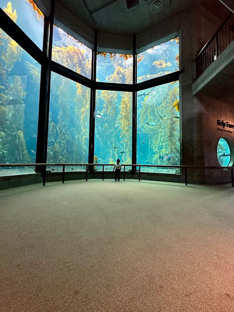 A Portal Into The Cold, Nutrient-Rich Waters Of Monterey Bay