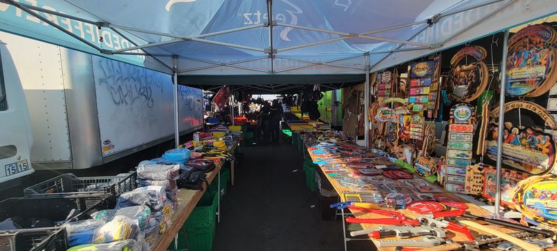 Where Every Corner Holds Something Unexpected