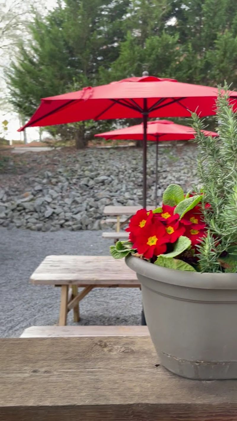 Outdoor Seating for Fresh-Air Breakfast Fans