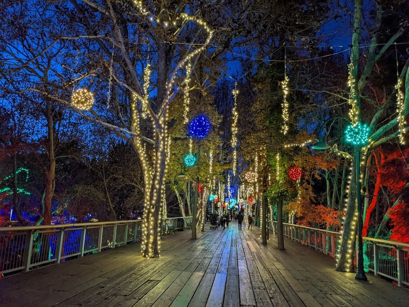 Seasonal Events That Transform The Park Throughout The Year