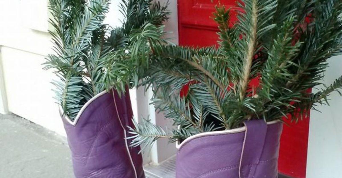 A North Carolina Lavender Farm That Feels Like A Dreamy Escape 4 - Decor Hint