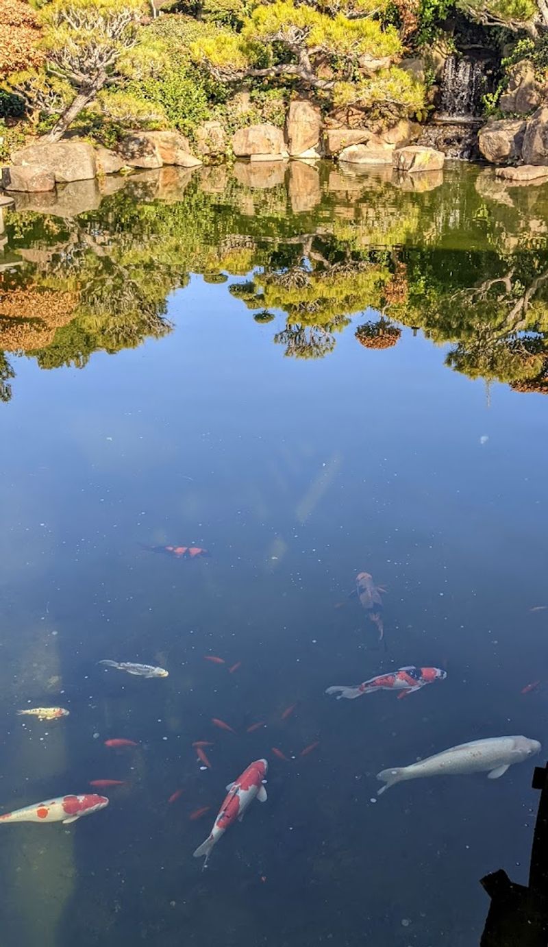 Educational Programs And Bonsai Demonstrations