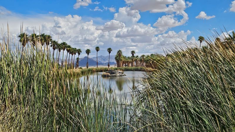A Journey Down The Most Mysterious Highway In California - Decor Hint The Road's Connection To Mineral Springs