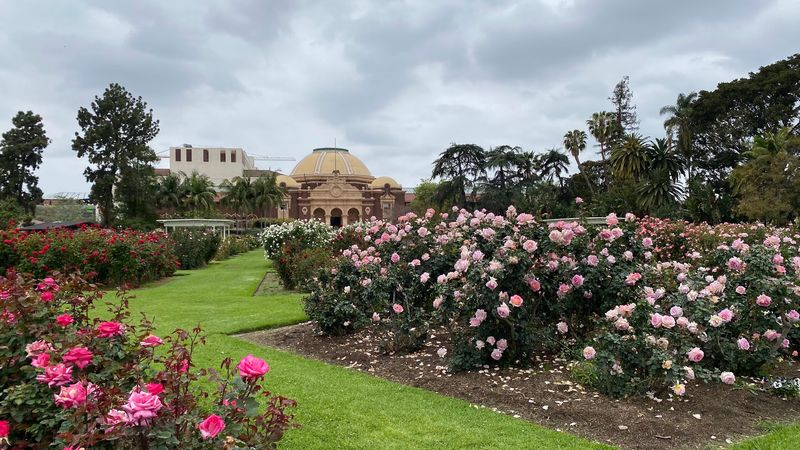 Surrounded By Major Cultural Attractions In Exposition Park