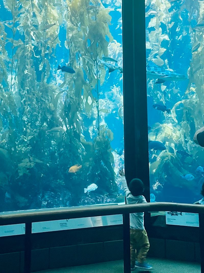 A Conservation Message Rooted In Real Ecological Stakes