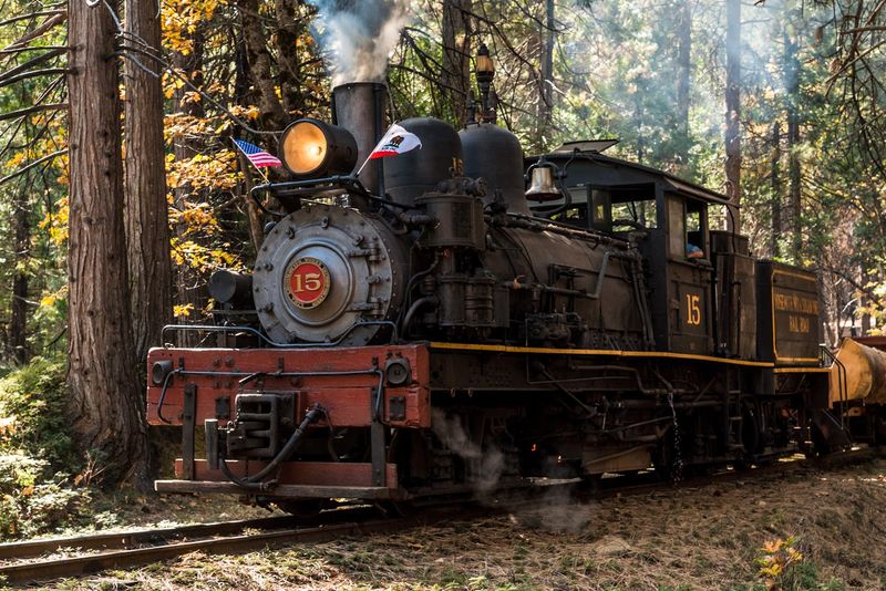Two Authentic Shay Steam Locomotives Power The Ride