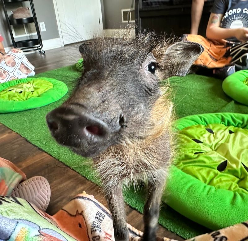 A Truly Memorable Experience That Sticks With You