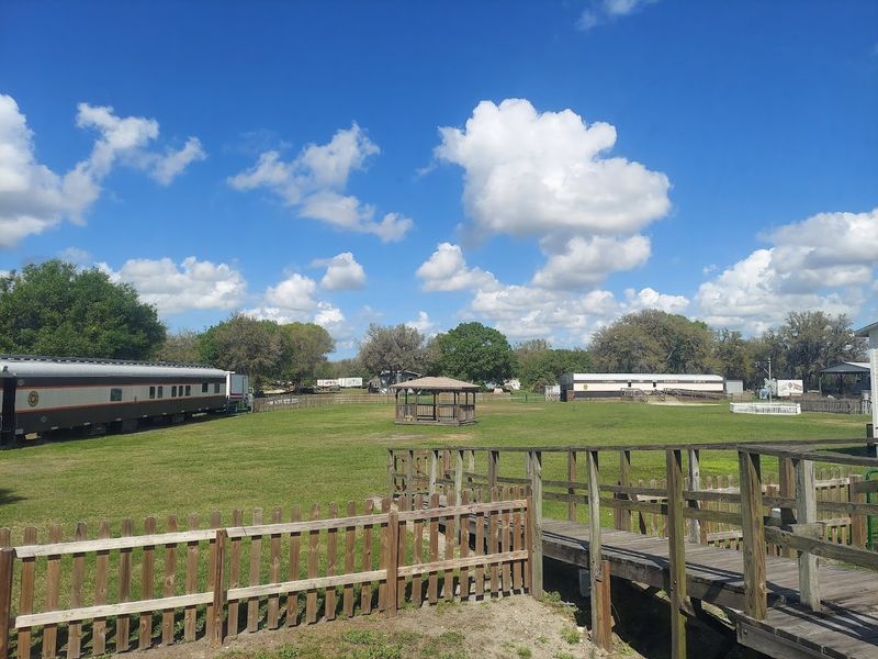This Slow Train Ride In Florida Might Be The Most Relaxing Way To See The State - Decor Hint The Kind Of Trip You Do Not Rush