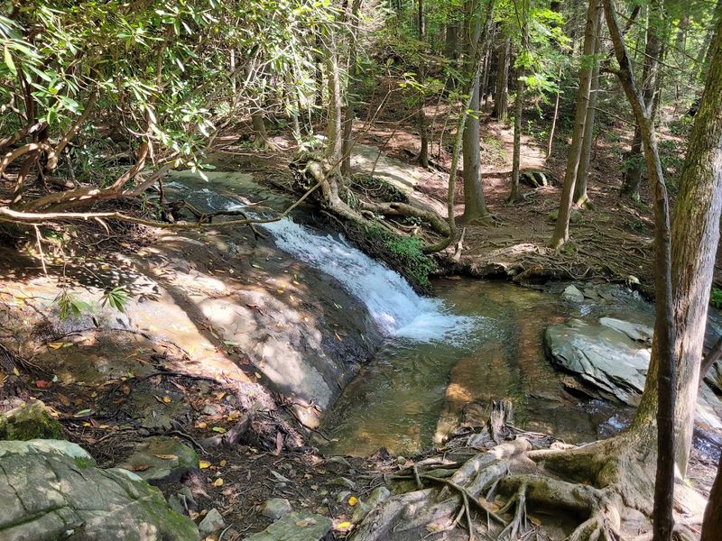 Short Distance, Big Payoff