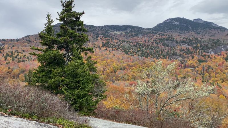 You Do Not Need A Long Hike To Reach This Overlook