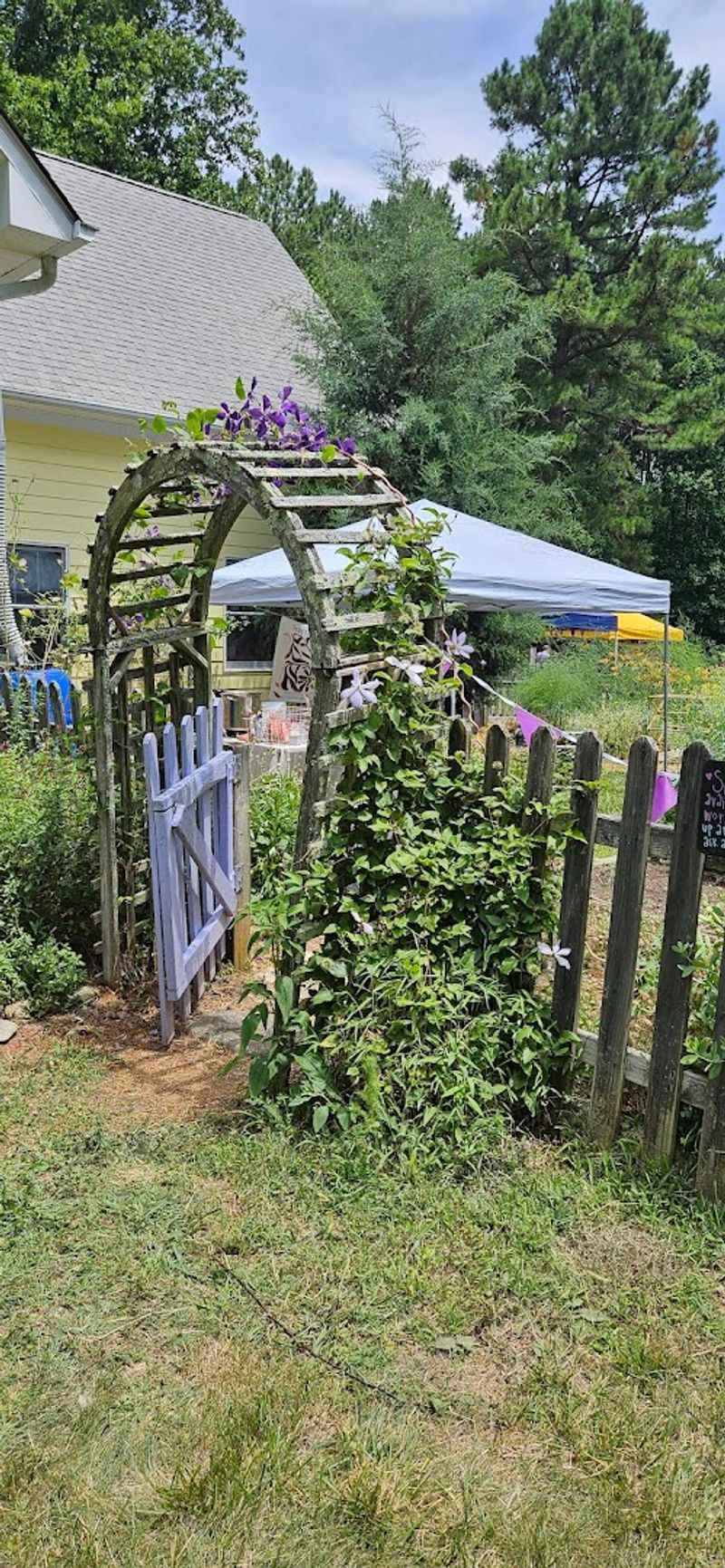 Why June Bloom Festival Has A Loyal Following