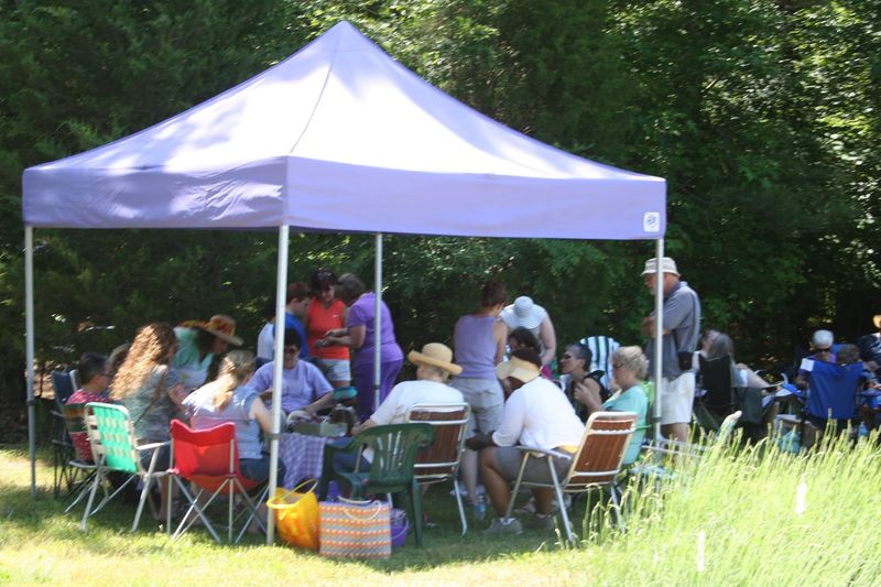 Why June Bloom Festival Has A Loyal Following