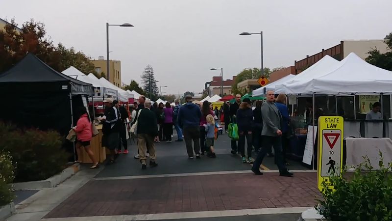 Year-Round Rain Or Shine Commitment