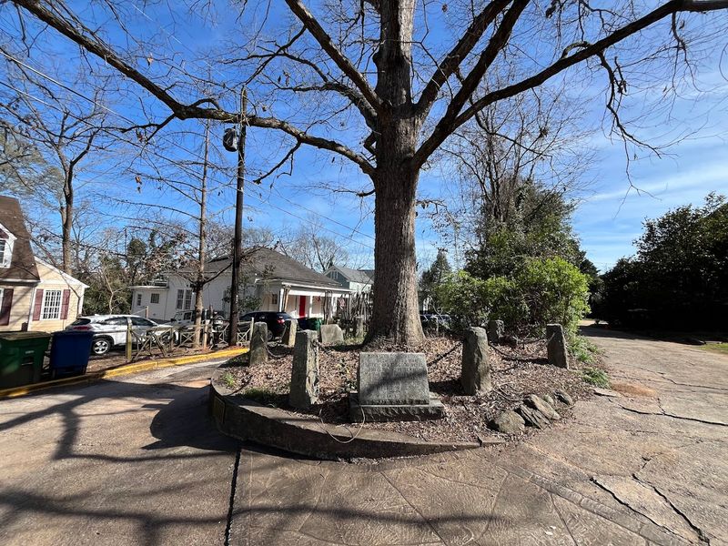 The Original Tree's Dramatic Fall