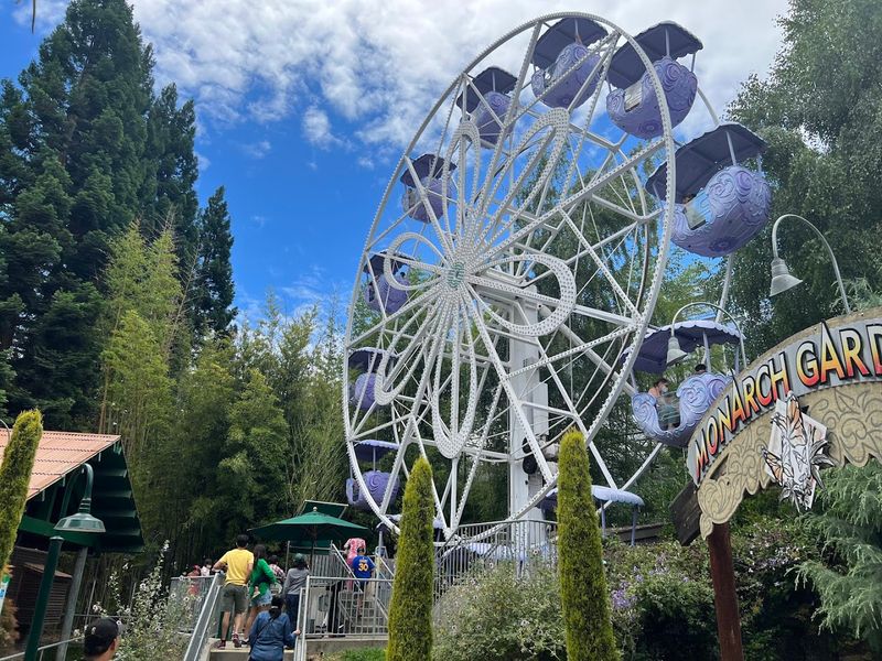 26 Developed Acres Packed With Over 40 Rides And Attractions