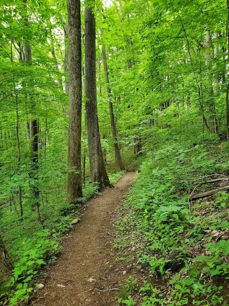 The Ridgeline Walk That Feels Like A Proper Adventure
