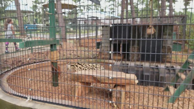 Educational Opportunities for All Ages