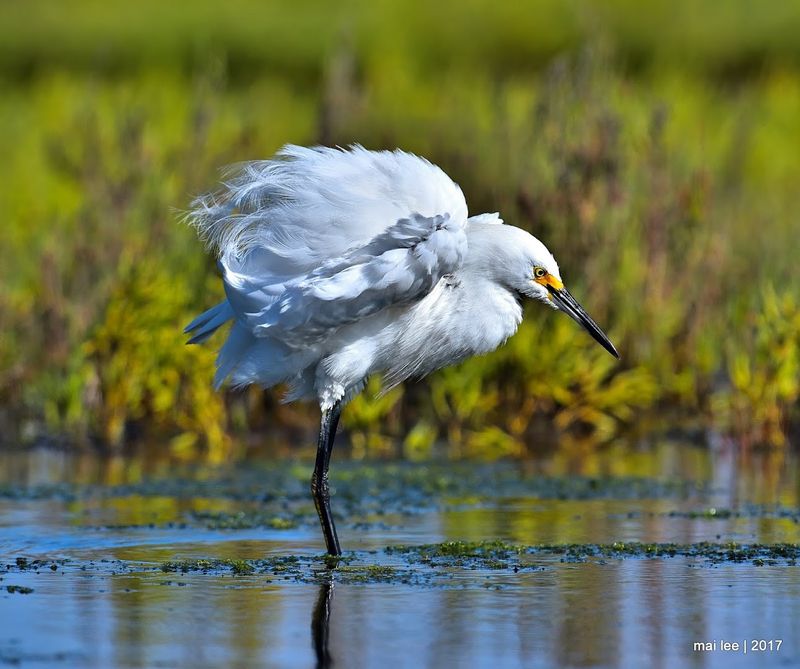 Over 200 Bird Species Call This Reserve Home