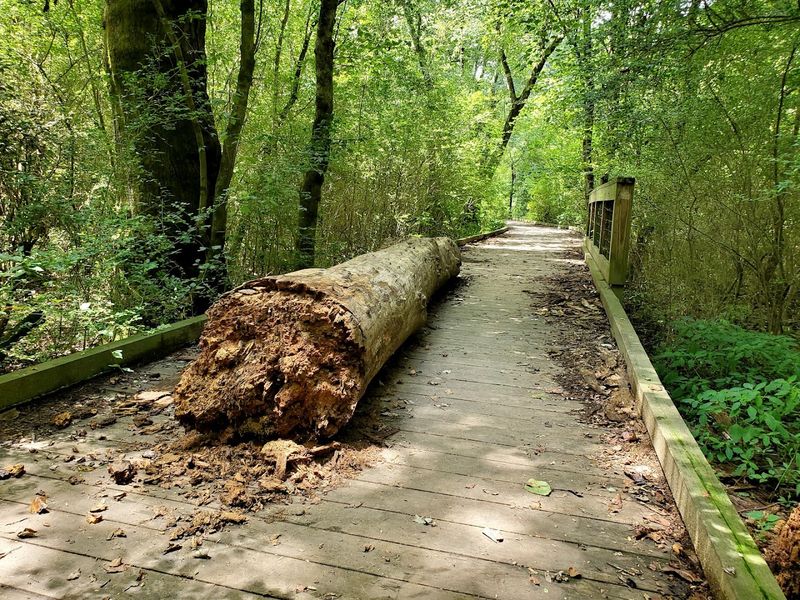 Wildlife That Will Stop You Cold