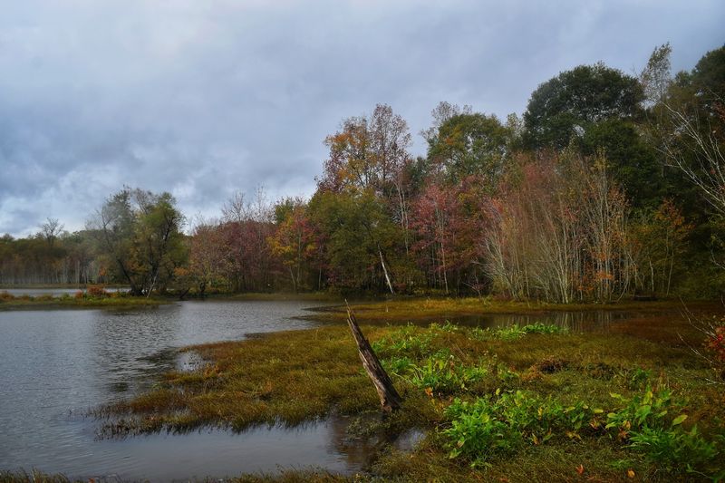 A Photographer's Unexpected Paradise