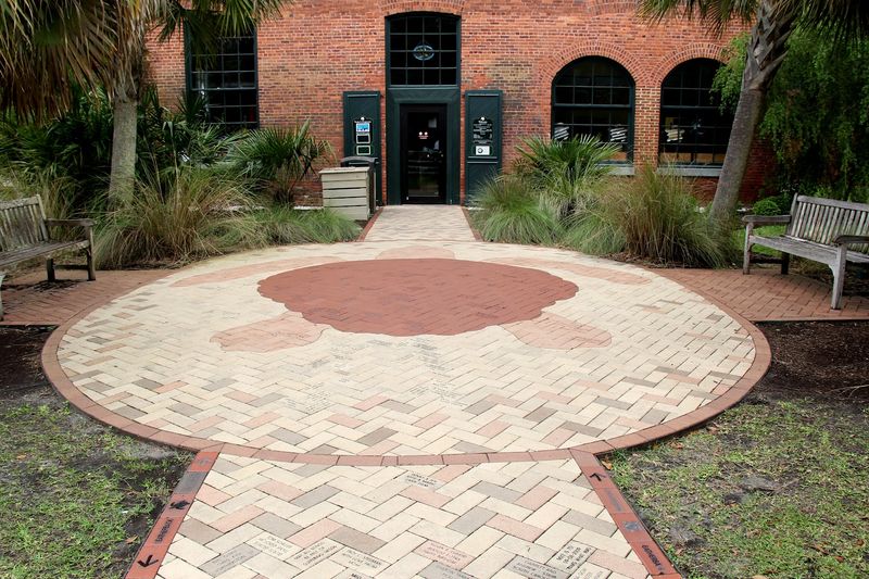 Georgia's Only Sea Turtle Hospital Lets You Step Into A World That Few Ever See - Decor Hint Beach Ecology Walks That Reveal the Coastal Ecosystem