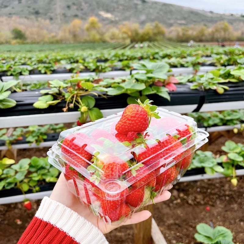 Responsible And Sustainable Farming Practices