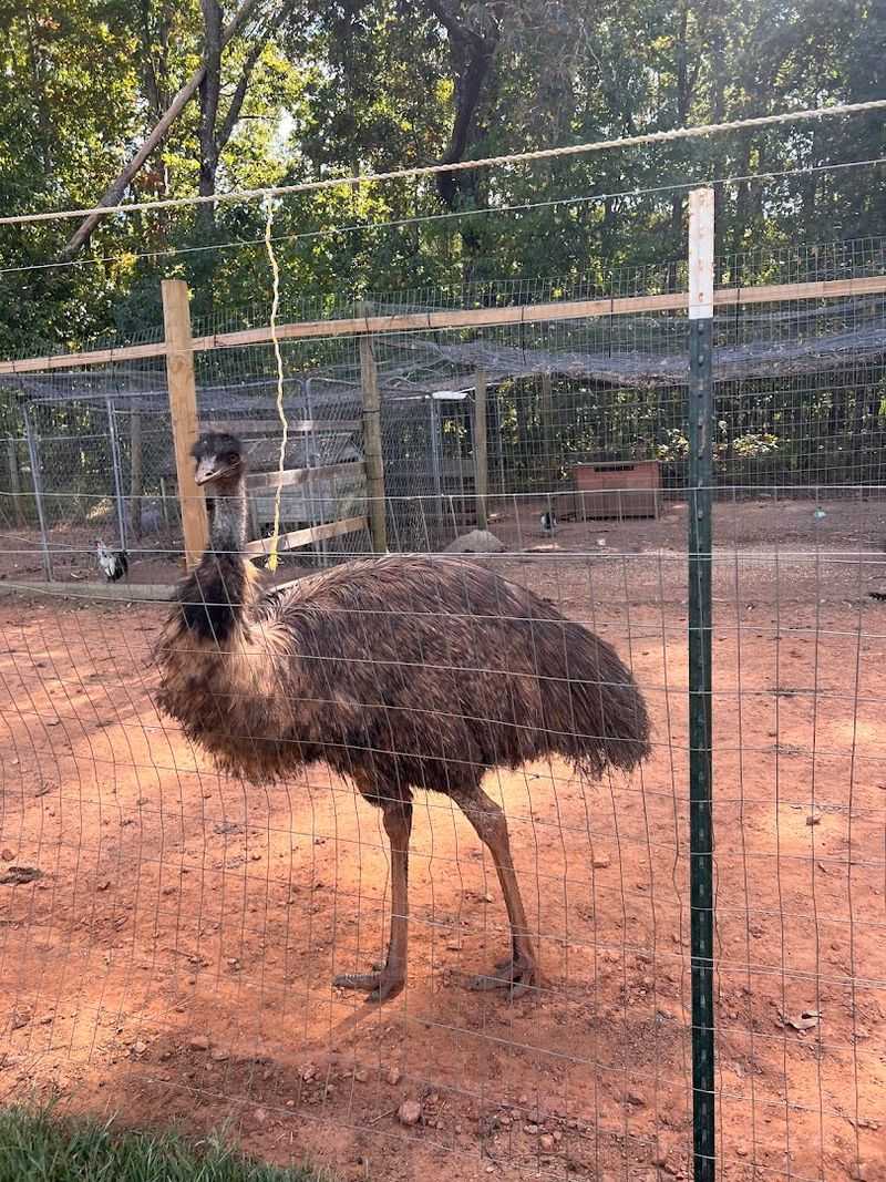 Weekend Hours That Fit A Relaxed Family Schedule