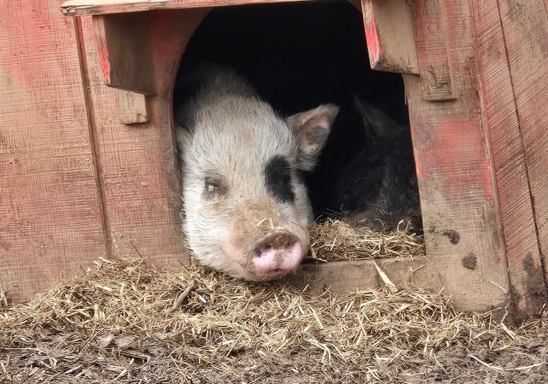 Consistently Positive Visitor Reviews