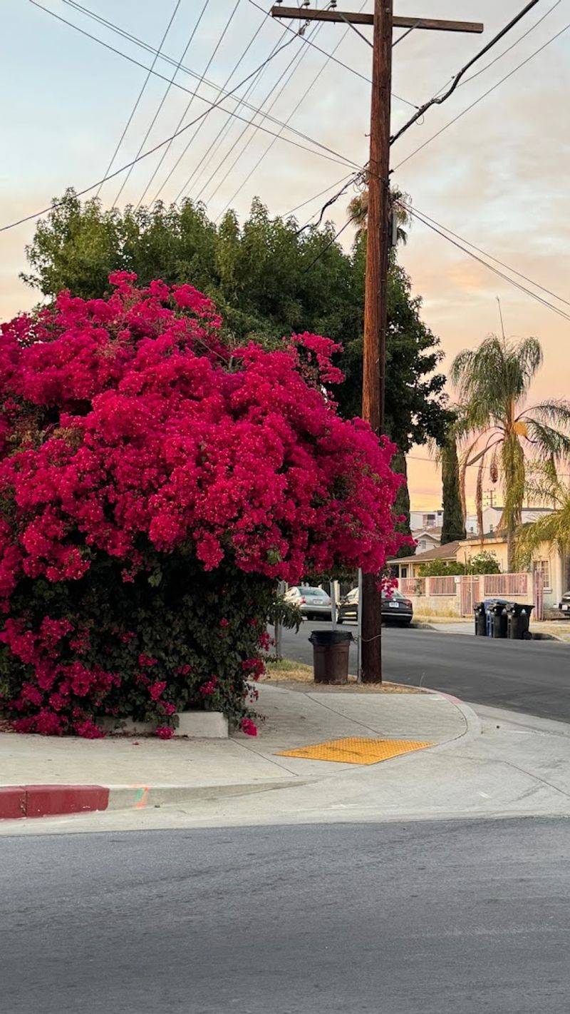 A True Community Hub For The Neighborhood