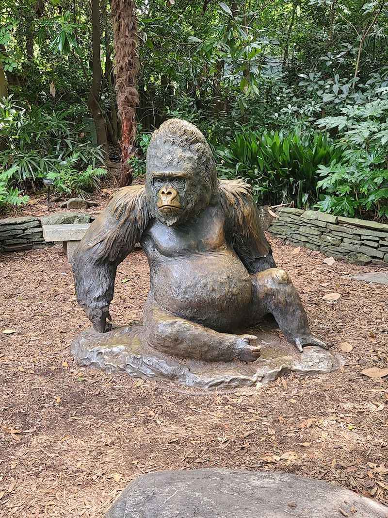 This Atlanta Georgia Gem Began With Circus Animals In 1889 And Is Now A Leading Research Zoo - Decor Hint Ford African Rain Forest