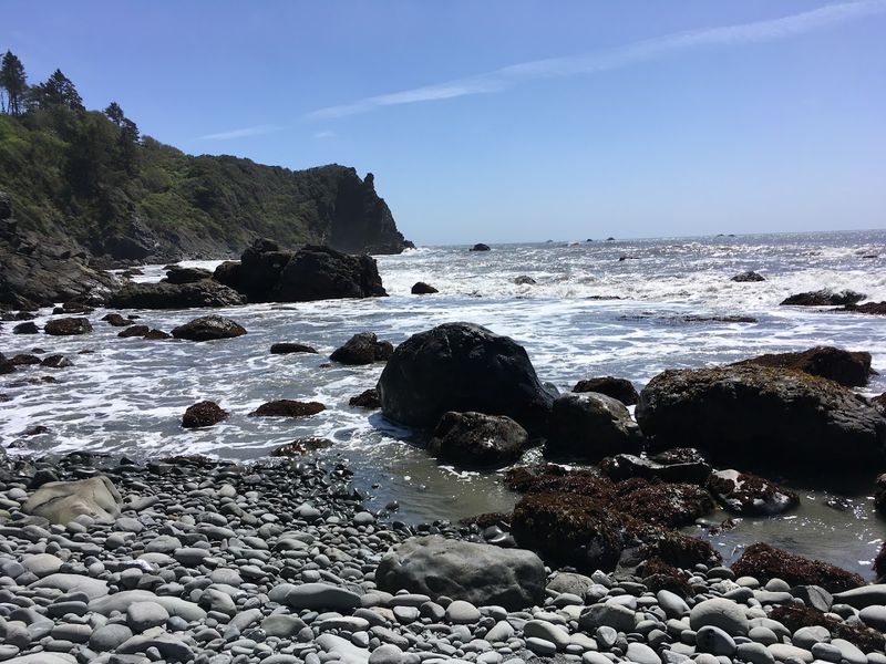 Tide Pools Reveal Marine Life At Low Tide
