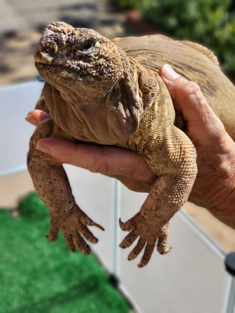 Behind-The-Scenes Tours Let You Get Remarkably Close
