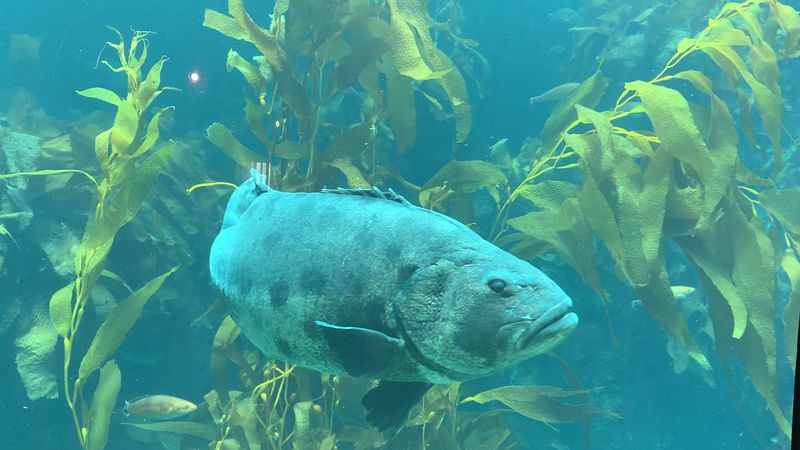 A Major Reconstruction Effort In 2023