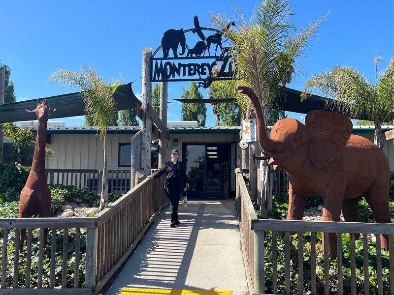 Spring At This Private California Wildlife Sanctuary Means Waking Up With Lions, Rhinos, And Zebras - Decor Hint Nearby Attractions Make It Easy To Extend The Trip