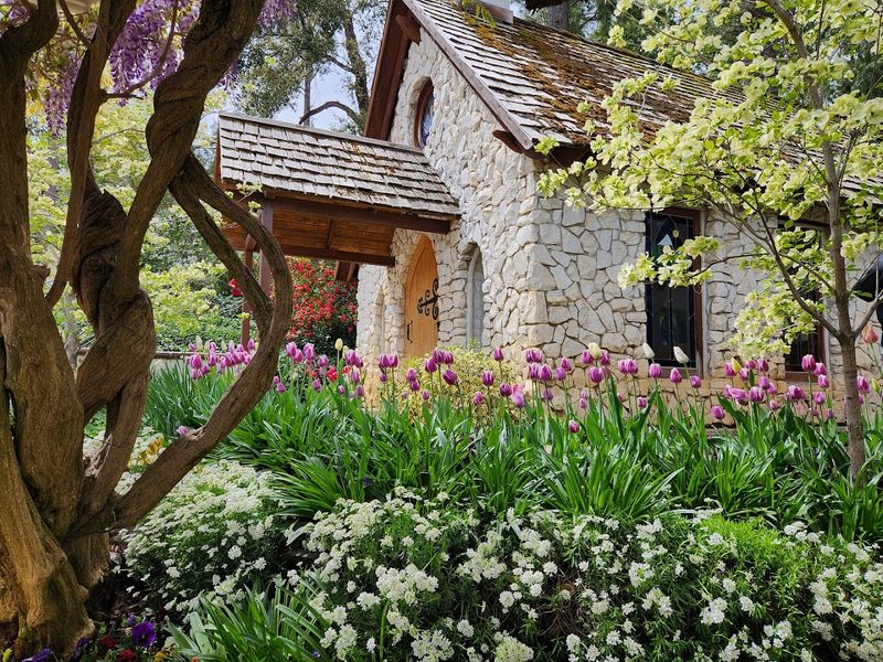 Tickets Must Be Purchased Online In Advance