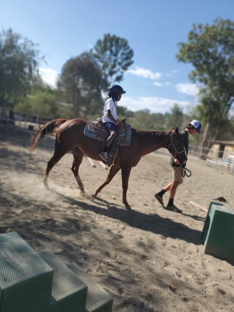 This Spring Camp Makes This California Farm The Ultimate Seasonal Destination In 2026 - Decor Hint Riding And Archery Lessons
