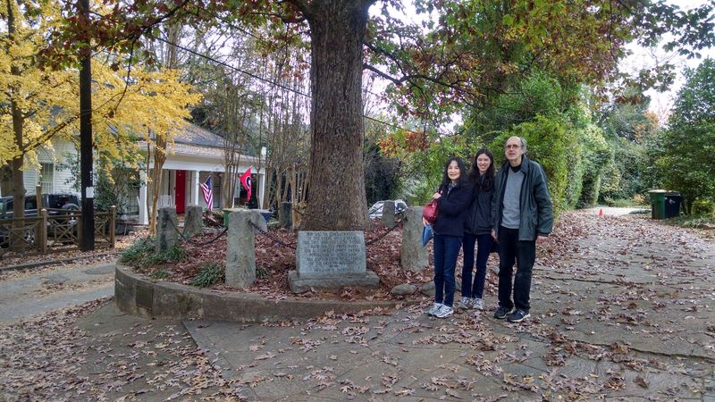 Community Events and Cultural Celebrations