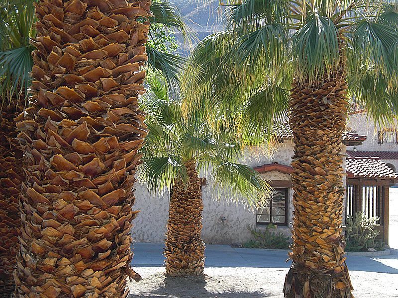This Secret Castle In California Brings Gilded Age Glamour To Life - Decor Hint A Clever Water And Power System