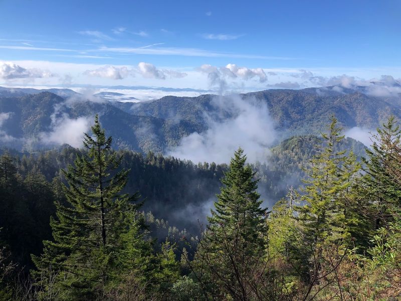 Alum Cave Trail To Mount LeConte