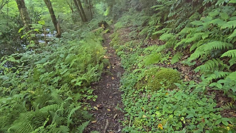 Deep Creek Trail Trailhead, Great Smoky Mountains National Park