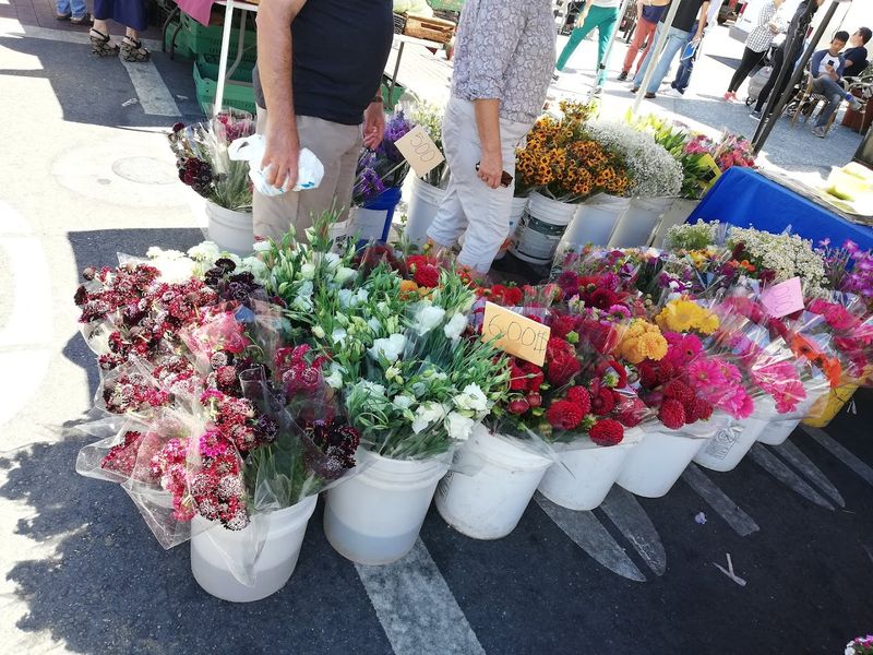 Community Roots That Run Deep